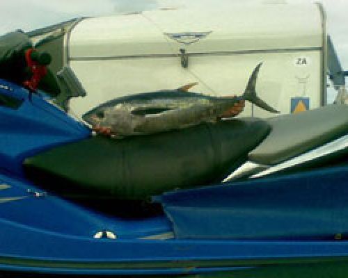 2010fishinggallery#3